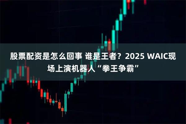 股票配资是怎么回事 谁是王者？2025 WAIC现场上演机器人“拳王争霸”
