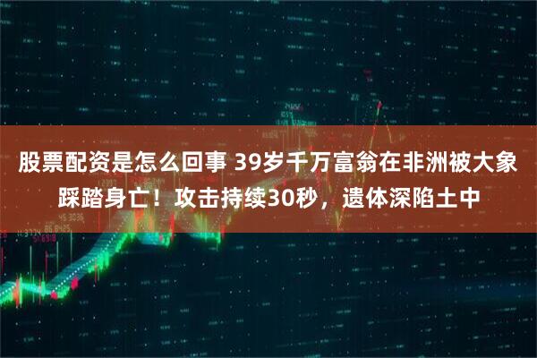 股票配资是怎么回事 39岁千万富翁在非洲被大象踩踏身亡！攻击持续30秒，遗体深陷土中