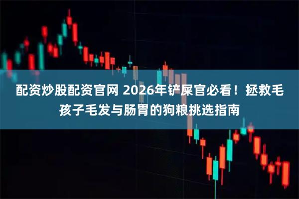 配资炒股配资官网 2026年铲屎官必看！拯救毛孩子毛发与肠胃的狗粮挑选指南